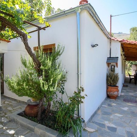 Villa Suzana Mikros Prinos Exterior foto